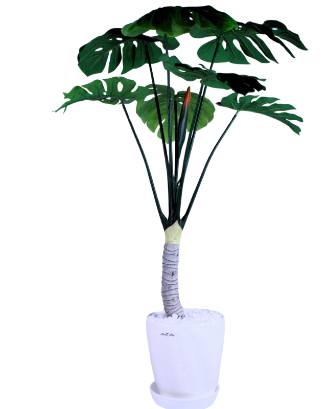 花緑の楽園 人工観葉植物　光触媒品　モンステラ太軸受け皿付き光触媒品 　日本製 職人手作り_1