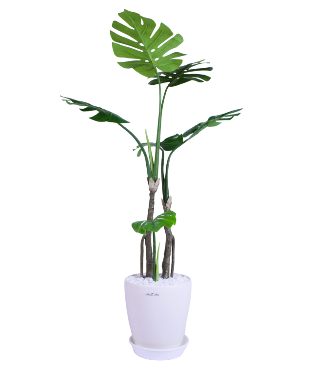 花緑の楽園 　人工観葉植物 　光触媒品　新モンステラ２本立て受け皿付き　日本製 職人手作り_1