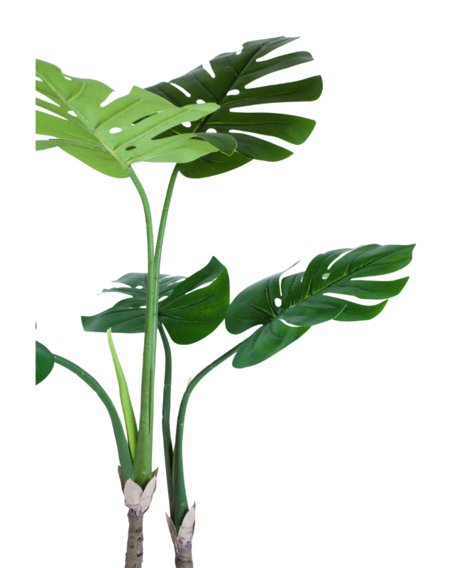 花緑の楽園 　人工観葉植物 　光触媒品　新モンステラ２本立て受け皿付き　日本製 職人手作り_3