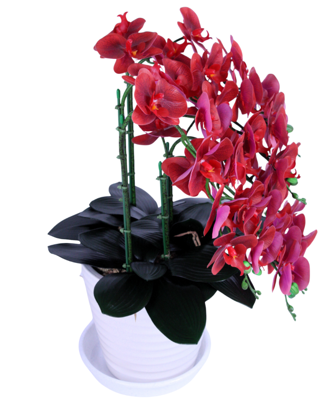 花緑の楽園 人工観葉植物 胡蝶蘭9輪5本レッド陶器鉢 受け皿付き 光触媒品 日本製 職人手作り_4