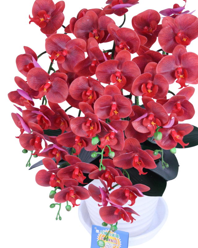 花緑の楽園 人工観葉植物 胡蝶蘭9輪5本レッド陶器鉢 受け皿付き 光触媒品 日本製 職人手作り_8