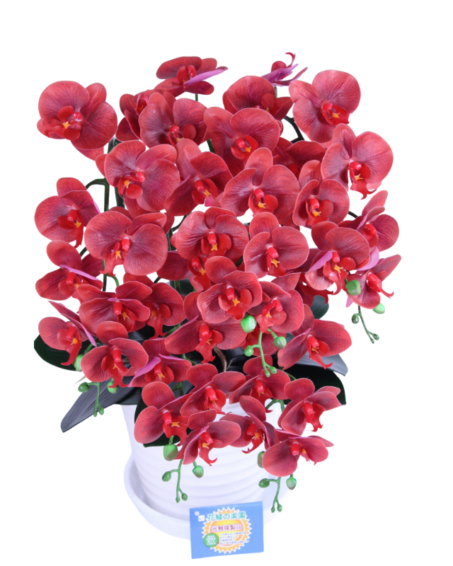 花緑の楽園 人工観葉植物 胡蝶蘭9輪5本レッド陶器鉢 受け皿付き 光触媒品 日本製 職人手作り_9