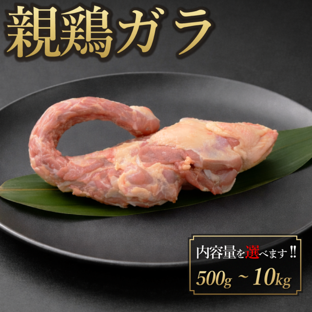 国産 親鶏ガラ ( 胴ガラ ) 10kg 鶏肉 鳥肉 白湯 水炊き ちゃんこ鍋 出汁 生肉 ギフト 小分け チルド 冷蔵
