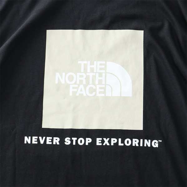 大きいサイズ メンズ THE NORTH FACE ノースフェイス ロンT 長袖 T