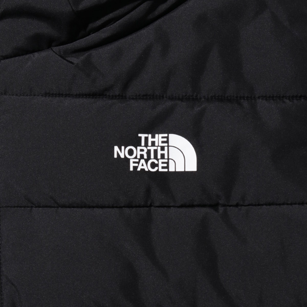 大きいサイズ メンズ THE NORTH FACE ノースフェイス フーデッド ダウン ジャケット USA直輸入 nf0a84i1-jk3_5