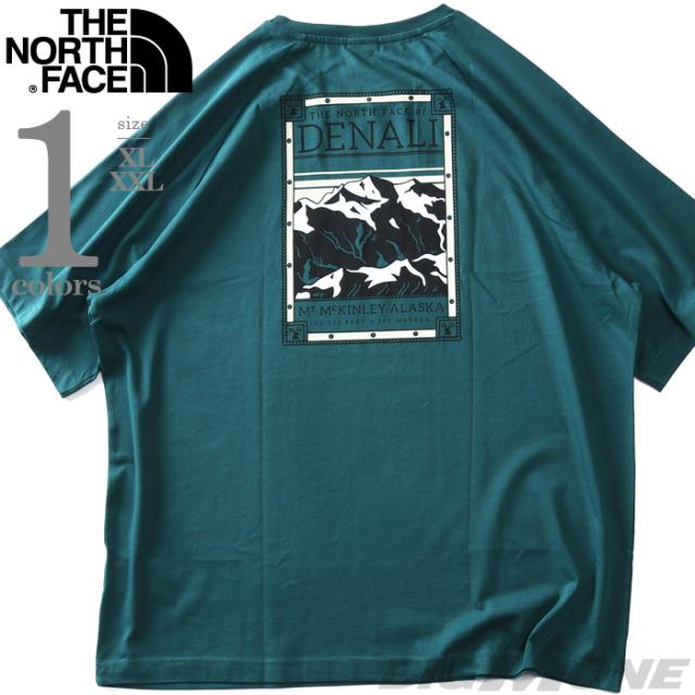 大きいサイズ メンズ THE NORTH FACE ノースフェイス プリント 半袖 Tシャツ USA直輸入 nf0a87nu-6gi