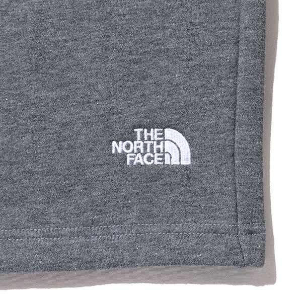 大きいサイズ メンズ THE NORTH FACE ノースフェイス スウェット ショーツ ショートパンツ ハーフパンツ USA直輸入 nf0a8cww-cqi_6