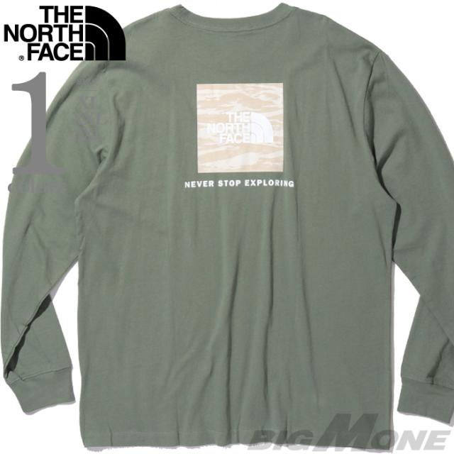 大きいサイズ メンズ THE NORTH FACE ノースフェイス プリント 長袖 Tシャツ USA直輸入 nf0a8evr-czo
