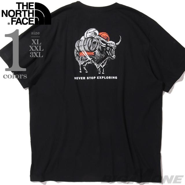 大きいサイズ メンズ THE NORTH FACE ノースフェイス プリント 半袖 Tシャツ USA直輸入 nf0a8fna-jk3