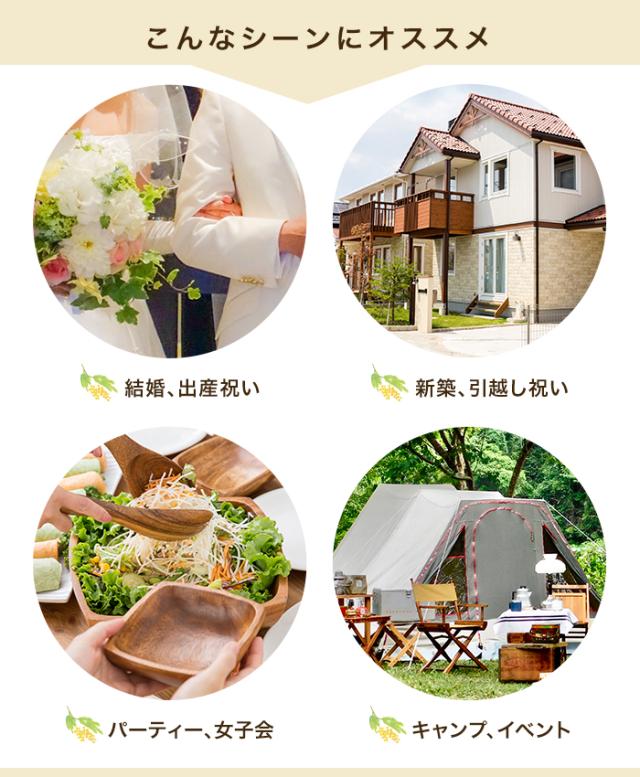 アカシア食器 レクタングルトレー 2仕切り付（6枚セット） ランチ