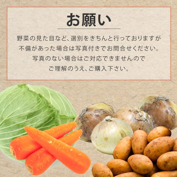 4種野菜セット 国産野菜セット 野菜詰め合せ B（キャベツ4玉・新たまねぎ約4kg・新じゃがいも約4kg・にんじん約4kg）4種セット 【営業日当日発送】 きゃべつ 玉ねぎ ポテト 人参 定番 万能 おうちごはん おうち時間 ご家庭用 大量 おためし ギフト_10