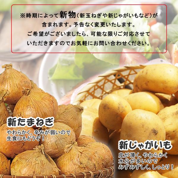 4種野菜セット 国産野菜セット 野菜詰め合せ B（キャベツ4玉・新たまねぎ約4kg・新じゃがいも約4kg・にんじん約4kg）4種セット 【営業日当日発送】 きゃべつ 玉ねぎ ポテト 人参 定番 万能 おうちごはん おうち時間 ご家庭用 大量 おためし ギフト_9