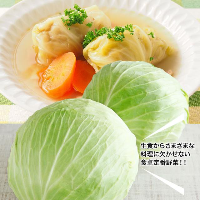 4種野菜セット 国産野菜セット 野菜詰め合せ B（キャベツ4玉・新たまねぎ約4kg・新じゃがいも約4kg・にんじん約4kg）4種セット 【営業日当日発送】 きゃべつ 玉ねぎ ポテト 人参 定番 万能 おうちごはん おうち時間 ご家庭用 大量 おためし ギフト_1