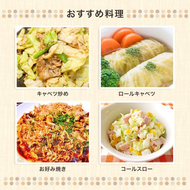 4種野菜セット 国産野菜セット 野菜詰め合せ B（キャベツ4玉・新たまねぎ約4kg・新じゃがいも約4kg・にんじん約4kg）4種セット 【営業日当日発送】 きゃべつ 玉ねぎ ポテト 人参 定番 万能 おうちごはん おうち時間 ご家庭用 大量 おためし ギフト_2