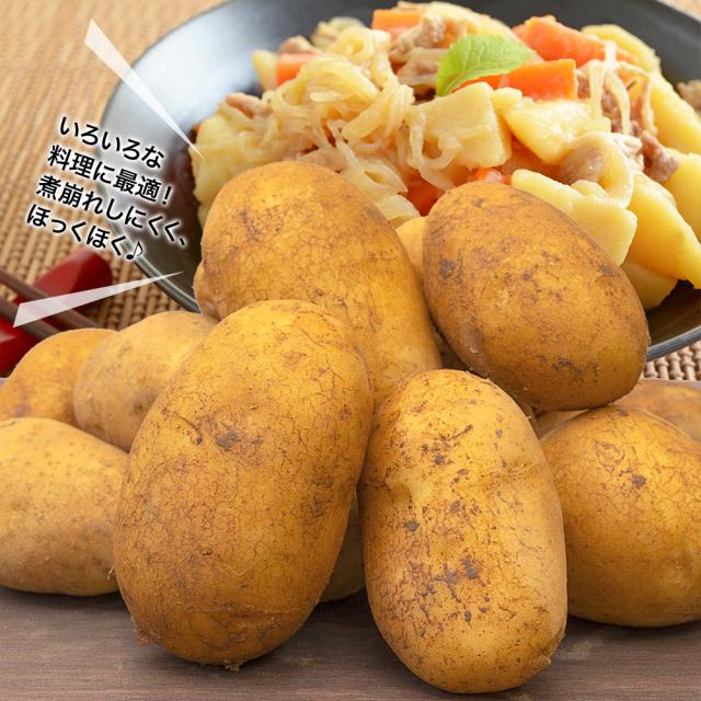 4種野菜セット 国産野菜セット 野菜詰め合せ B（キャベツ4玉・新たまねぎ約4kg・新じゃがいも約4kg・にんじん約4kg）4種セット 【営業日当日発送】 きゃべつ 玉ねぎ ポテト 人参 定番 万能 おうちごはん おうち時間 ご家庭用 大量 おためし ギフト_5
