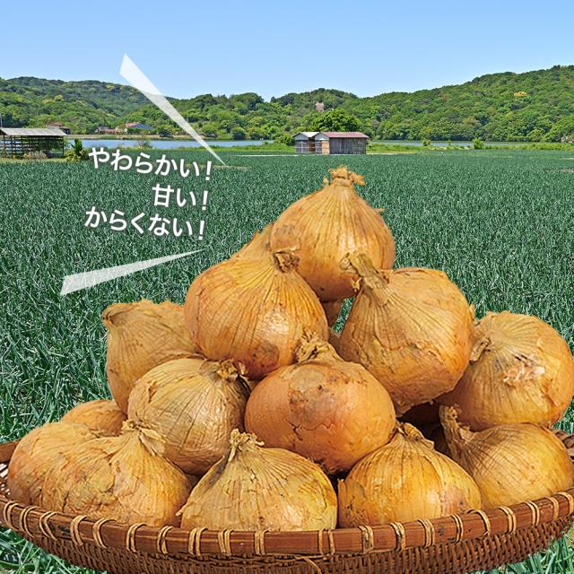 4種野菜セット 国産野菜セット 野菜詰め合せ B（キャベツ4玉・新たまねぎ約4kg・新じゃがいも約4kg・にんじん約4kg）4種セット 【営業日当日発送】 きゃべつ 玉ねぎ ポテト 人参 定番 万能 おうちごはん おうち時間 ご家庭用 大量 おためし ギフト_3