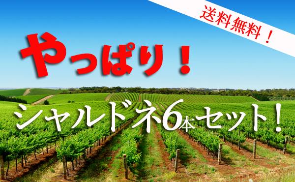 送料無料 やっぱり シャルドネセット ワインセット カリフォルニアワイン 白ワイン クール便は+390円別途請求 12,997円