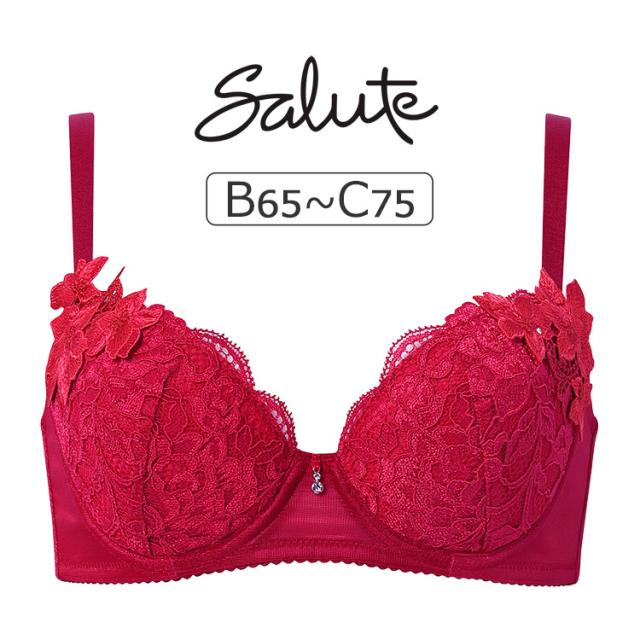 ワコール サルート 27グループ 27G ブラジャー単品 女優Bra BCカップ アンダー 65/70/75cm BTJ727