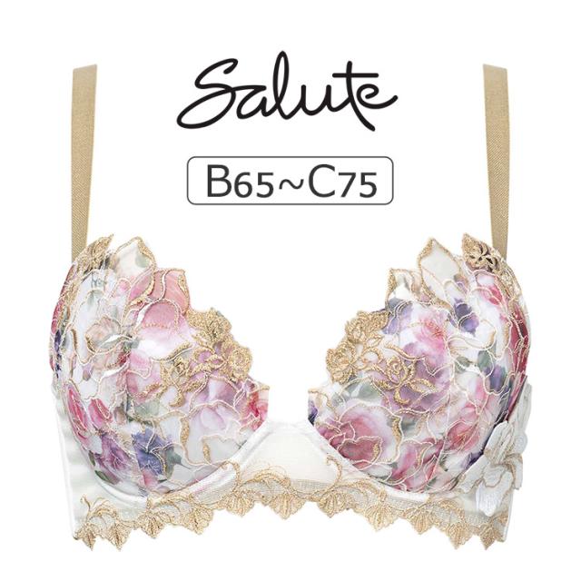 ワコール サルート 17グループ 17G ブラジャー単品 Real Up Bra BCカップ アンダー65/70/75cm BTJ717