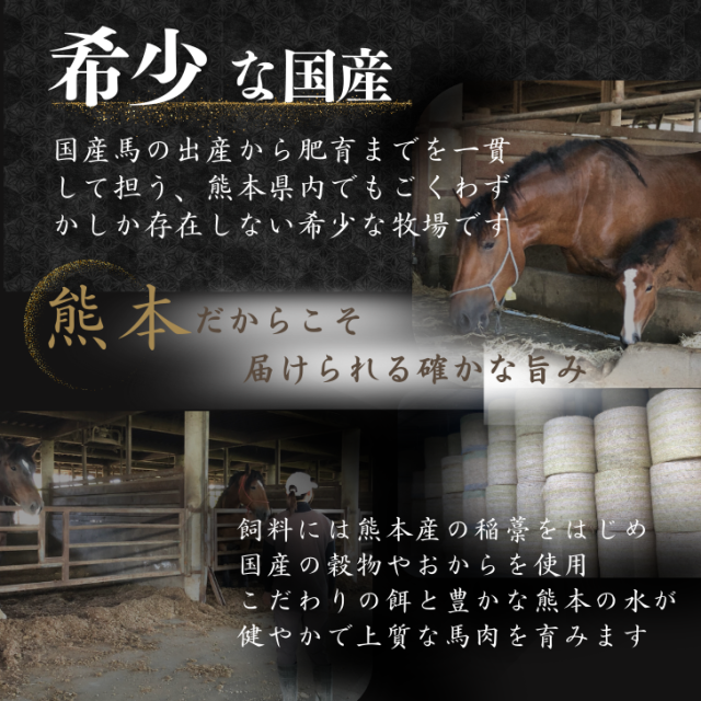 馬刺し 熊本 国産 赤身 送料無料 特選 小分け 500g 誕生日 旨い馬刺し 馬刺 ギフト 大トロ 高級 ギフト 人気 食べ比べ 純国産 詰め合わせ 老舗 4種 肉 セット お得 ヒカル お祝 御礼 お酒 食べ物 馬肉 特産 産地直送 高級 桜肉 お返し_1