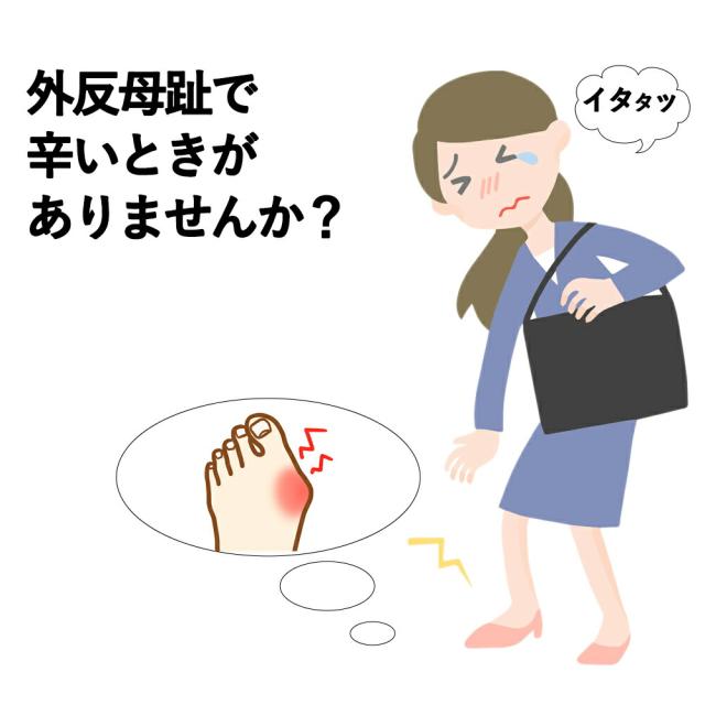 送料無料 外反母趾 シニア ウォーキング シューズ 女性 靴 歩きやすい レディース ラフィート lafeet VL07 足袋 スニーカー 足袋型 ジョギング 岡本製甲 日本製 メンズ 陸王 アイエスショップ