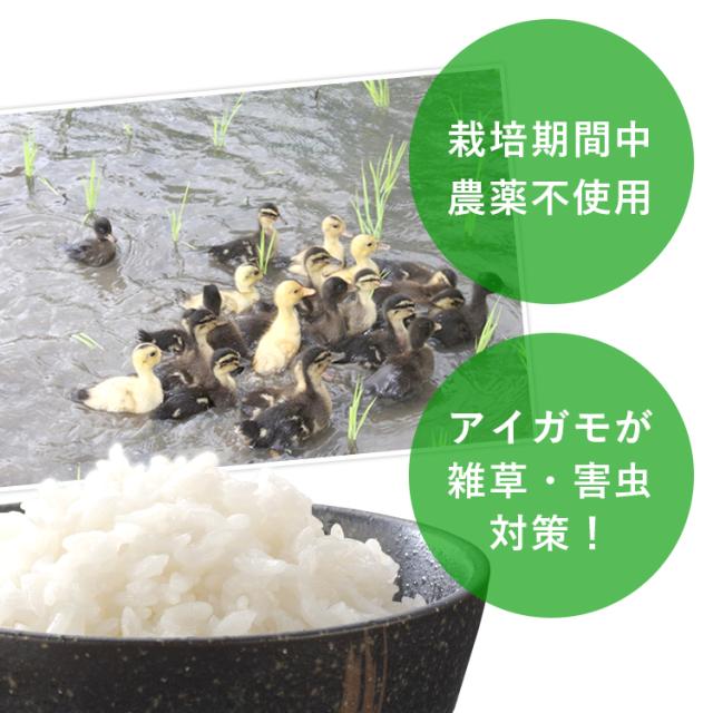 令和7年産 合鴨農法米 ヒノヒカリ 20kg 送料無料 選べる精米歩合 お米 白米 玄米 5分づき 7分づき 熊本県産 アイガモ 合鴨 栽培期間中農薬不使用 化学肥料不使用【精米歩合により内容量が変わります】_1