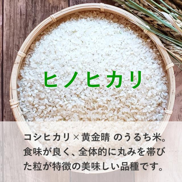 令和7年産 合鴨農法米 ヒノヒカリ 20kg 送料無料 選べる精米歩合 お米 白米 玄米 5分づき 7分づき 熊本県産 アイガモ 合鴨 栽培期間中農薬不使用 化学肥料不使用【精米歩合により内容量が変わります】_2