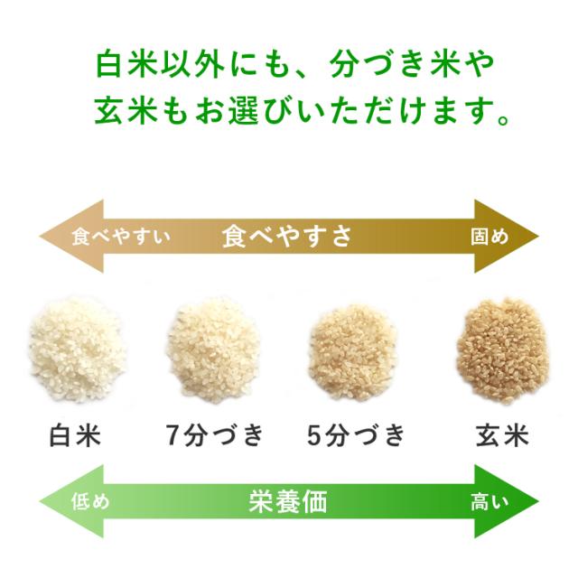 令和7年産 合鴨農法米 ヒノヒカリ 20kg 送料無料 選べる精米歩合 お米 白米 玄米 5分づき 7分づき 熊本県産 アイガモ 合鴨 栽培期間中農薬不使用 化学肥料不使用【精米歩合により内容量が変わります】_3