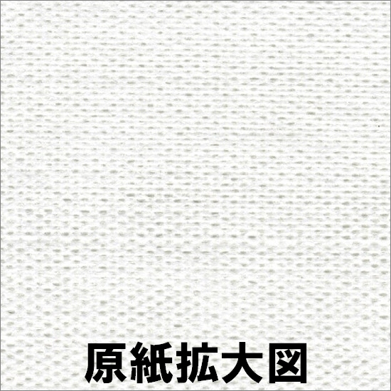 大黒工業　ペーパーロールストロング　中サイズ　60枚×2ロール　6袋入【取り寄せ商品・即納不可・代引き不可・返品不可】_1