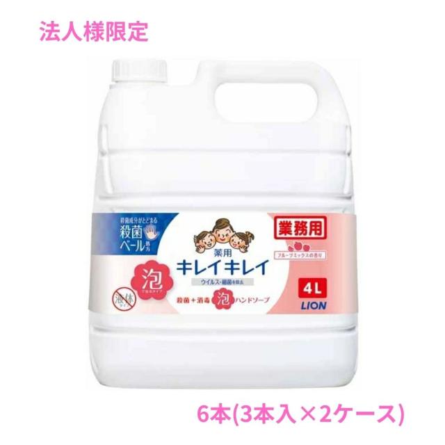 【法人様限定】ライオン　キレイキレイ薬用泡ハンドソープ　フルーツミックスの香り　4L×3本入×2ケースロット【取り寄せ商品・代引き不可・時間指定不可・沖縄、北海道、離島不可】