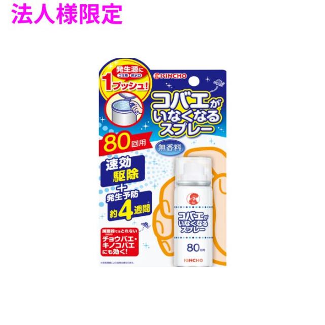 【法人様限定】金鳥　害虫用駆除剤コバエがいなくなるスプレー　20ml×24本×2ケースロット【取り寄せ商品・代引き不可・時間指定不可・沖縄、北海道、離島不可】 26,222円