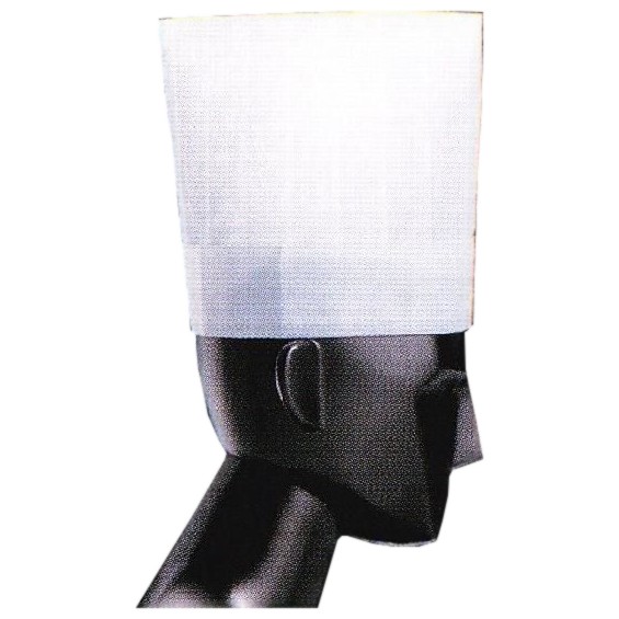 ノンプリーツ シェフハット　Pal　20cm　N39110C　50枚×4 （200枚）【取り寄せ商品・即納不可・代引き不可・返品不可】