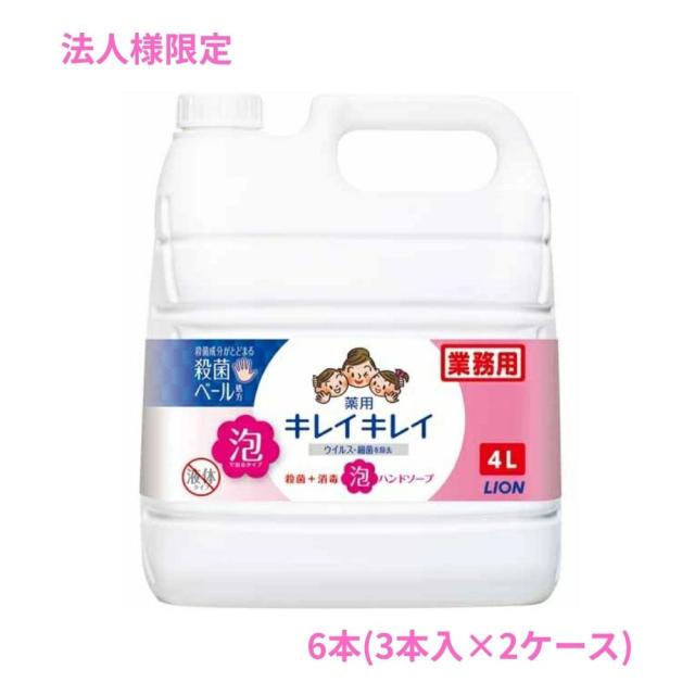 【法人様限定】ライオン　キレイキレイ薬用泡ハンドソープ　4L×3本入×2ケースロット【取り寄せ商品・代引き不可・時間指定不可・沖縄、北海道、離島不可】