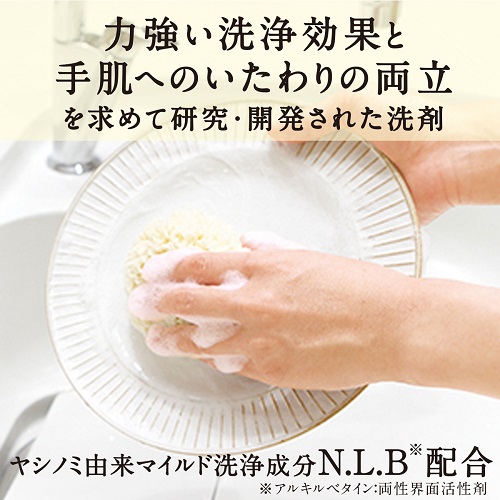 サラヤ　中性洗剤　ヤシノミ洗剤　10kg×2箱　八角B.I.B.【取り寄せ商品・即納不可】_1