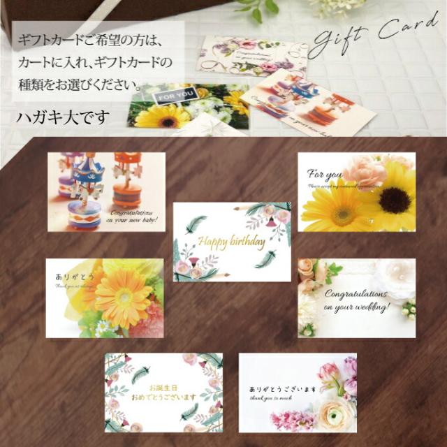 送料無料 ヒマラヤ岩塩 バスソルト 浄化 6種 ギフトセット プレゼント