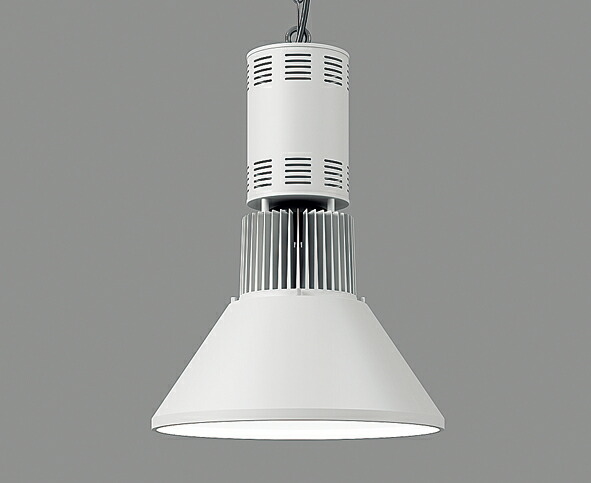 勇烈の賢竜皇 コレオディグラス デラックス 2024 カードファイト