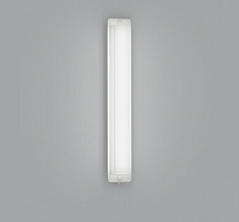 OG254509R LEDﾎﾟｰﾁﾗｲﾄ