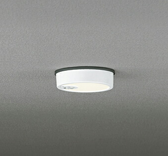 オーデリック(OS) OG254534R LEDﾎﾟｰﾁﾗｲﾄ