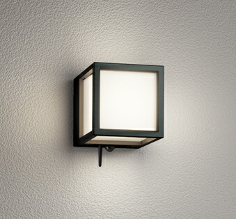 OG254832BR LEDﾎﾟｰﾁﾗｲﾄ