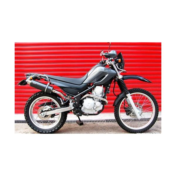 セロー250 BEAMSビームス SS300カーボン カスタムマフラー フルエキ