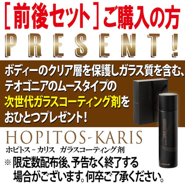 コーティング剤(81108)プレゼント ZX-9R 900/2000〜用 PIRELLI(ピレリ