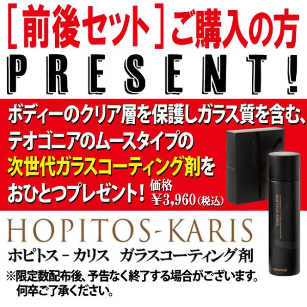 コーティング剤(81108)プレゼント GSX1300Rハヤブサ/1999〜用 PIRELLI