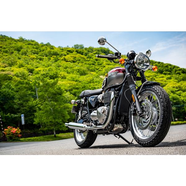DUNLOP(ダンロップ) TT100GP (80/90H18) WT フロント/リア (119027