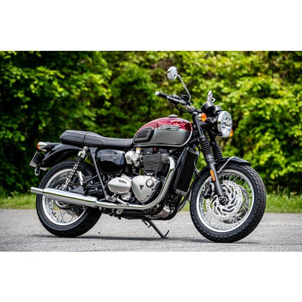 DUNLOP(ダンロップ) TT100GP (80/90H18) WT フロント/リア (119027