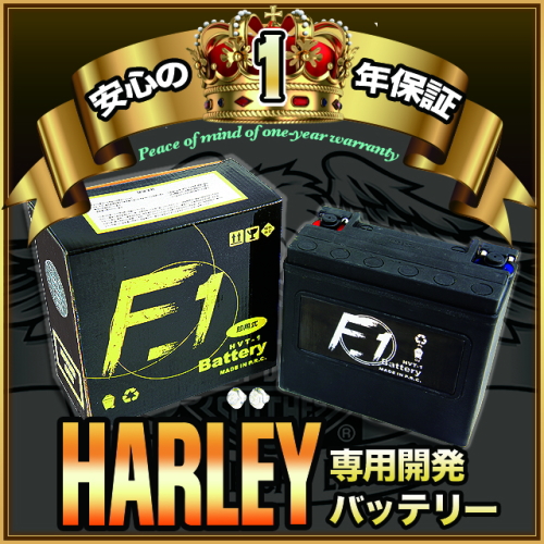 1年言いはなつ付 F1 蓄電池 XL883R 運動競技はやりっ子883読み込むはやりっ子/04〜用 65984-00 取り替えっこ ハーレー用 HVT-3