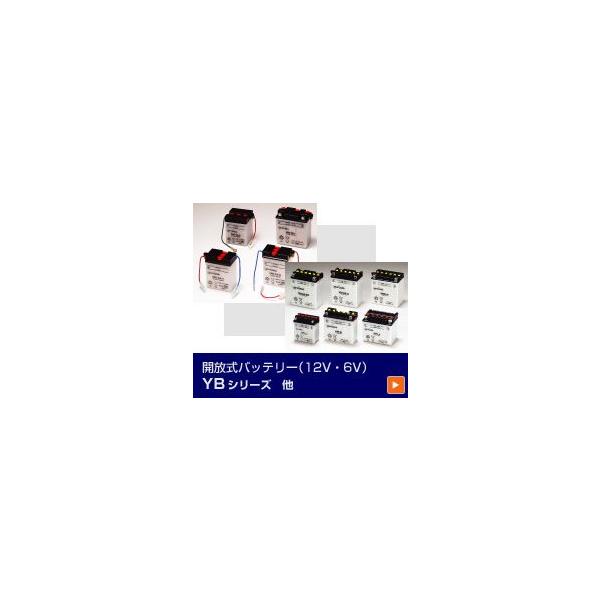 GSユアサ 6Vバッテリー 6N12A-2D