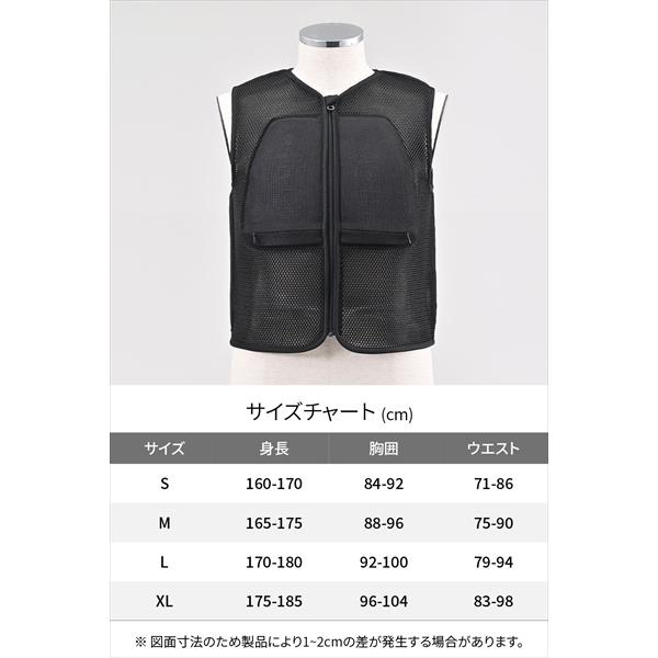 デイトナ DP-009 3Dエアメッシュベスト ブラック XLサイズ 60945