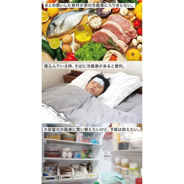 在庫有 LOGOS/ロゴス 74175097 野電 エレキャン・冷凍冷蔵庫 16-BF -20℃/20℃ コンパクト コンプレッサー式 冷凍庫 冷蔵庫 キャンプ アウトドア