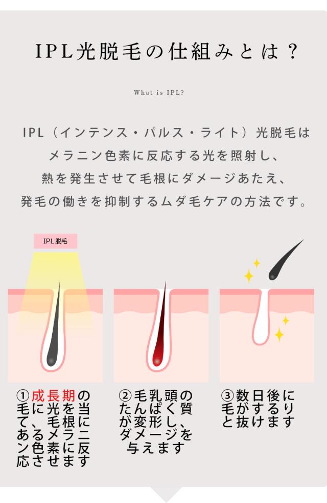 照射回数99万回 冷却 脱毛器 光脱毛器 IPL 脱毛器 家庭用脱毛器 冷感 光エステ ギフト プレゼント フラッシュ 脱毛 光美容器 アンダーヘア 全身 顔 自動照射 【ADORIC BEAUTY 公式】_5