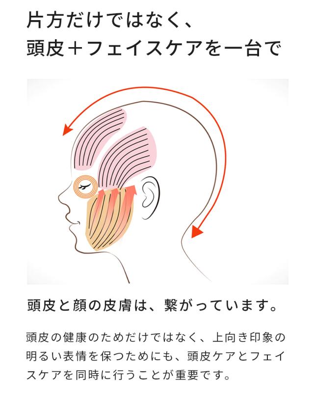 楽天1位 高評価★4.55 強弱2段階×振動8,000回/分で実感! 髪に絡まない ヘッドスパ 電動 家電 頭皮 スカルプケア 美容 フェイス 顔 首 肩 ボディ 電動ブラシ 防水 クリスマス  【 ADORIC BEAUTY 公式 】